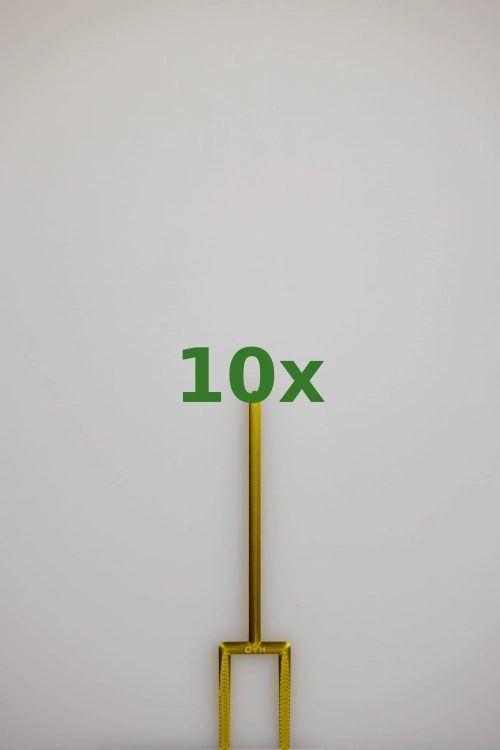 2441_10x.jpg