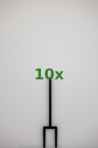 2447_10x.jpg