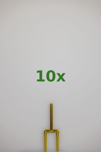 2462_10x.jpg