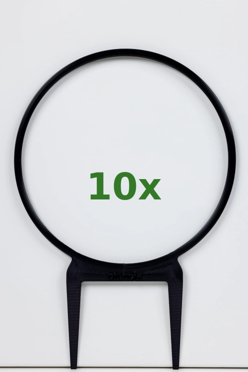1339_10x.jpg